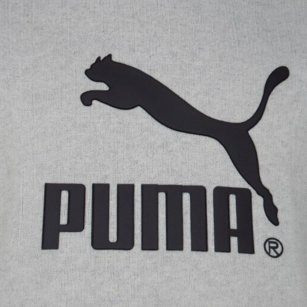 Logo Puma Energy