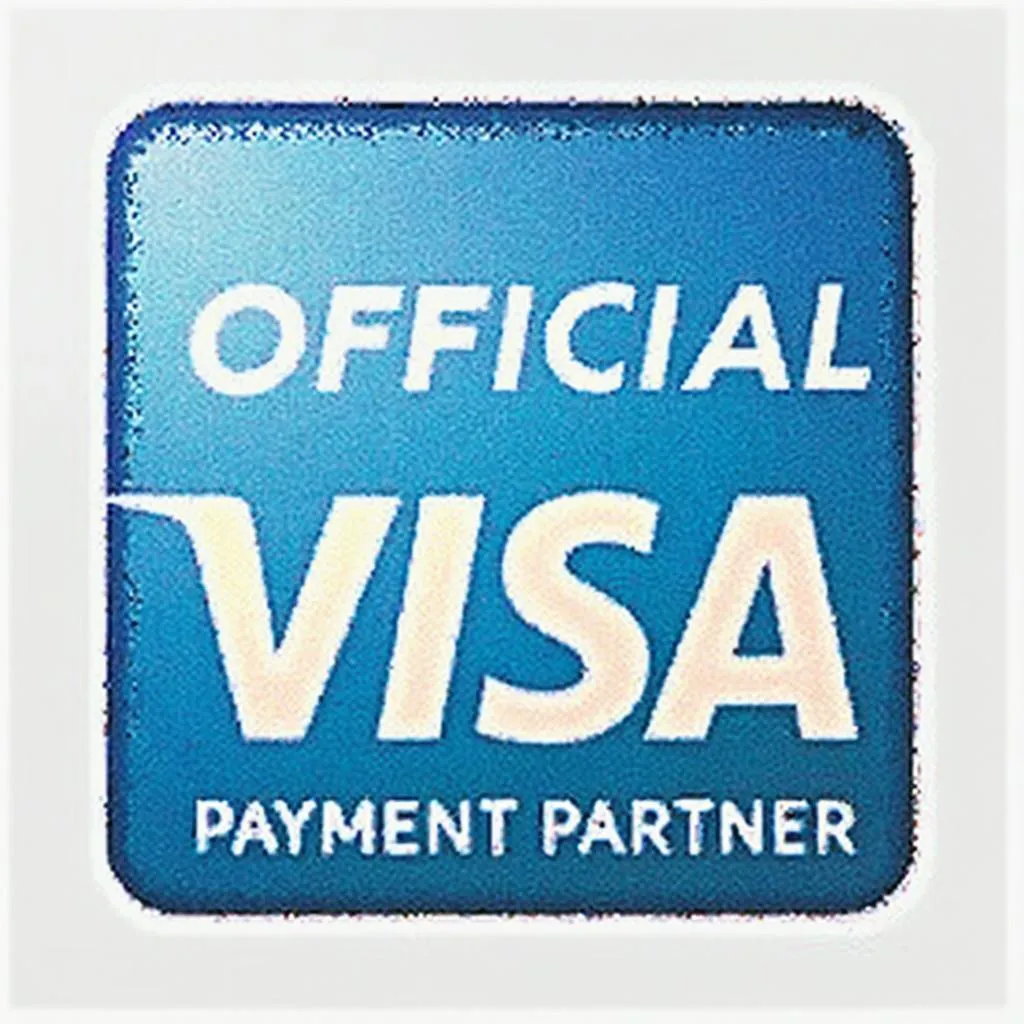 Logo Visa